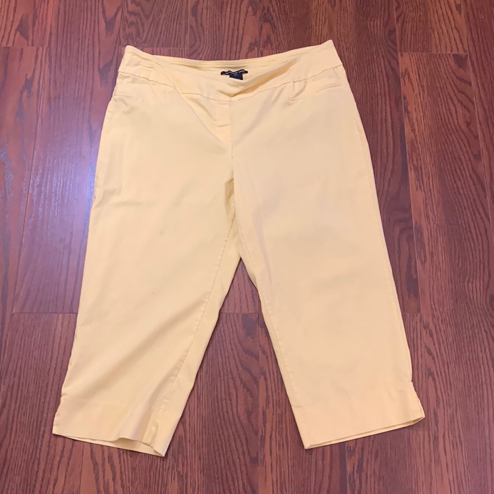 Zac and Rachel Woman Capri Sz 18W